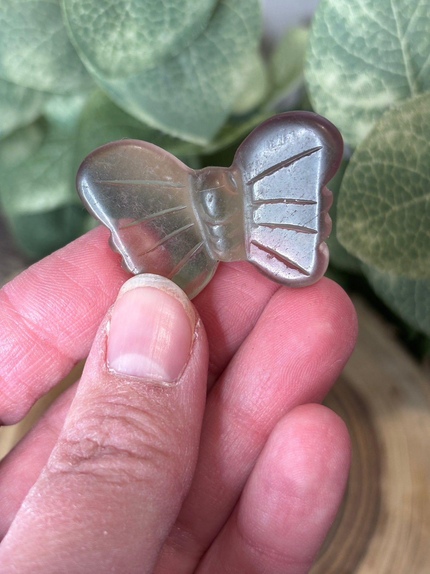 Butterfly Carvings