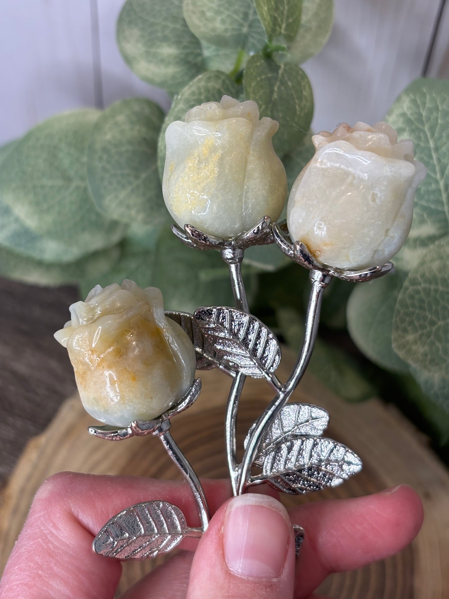 Rose on Stem