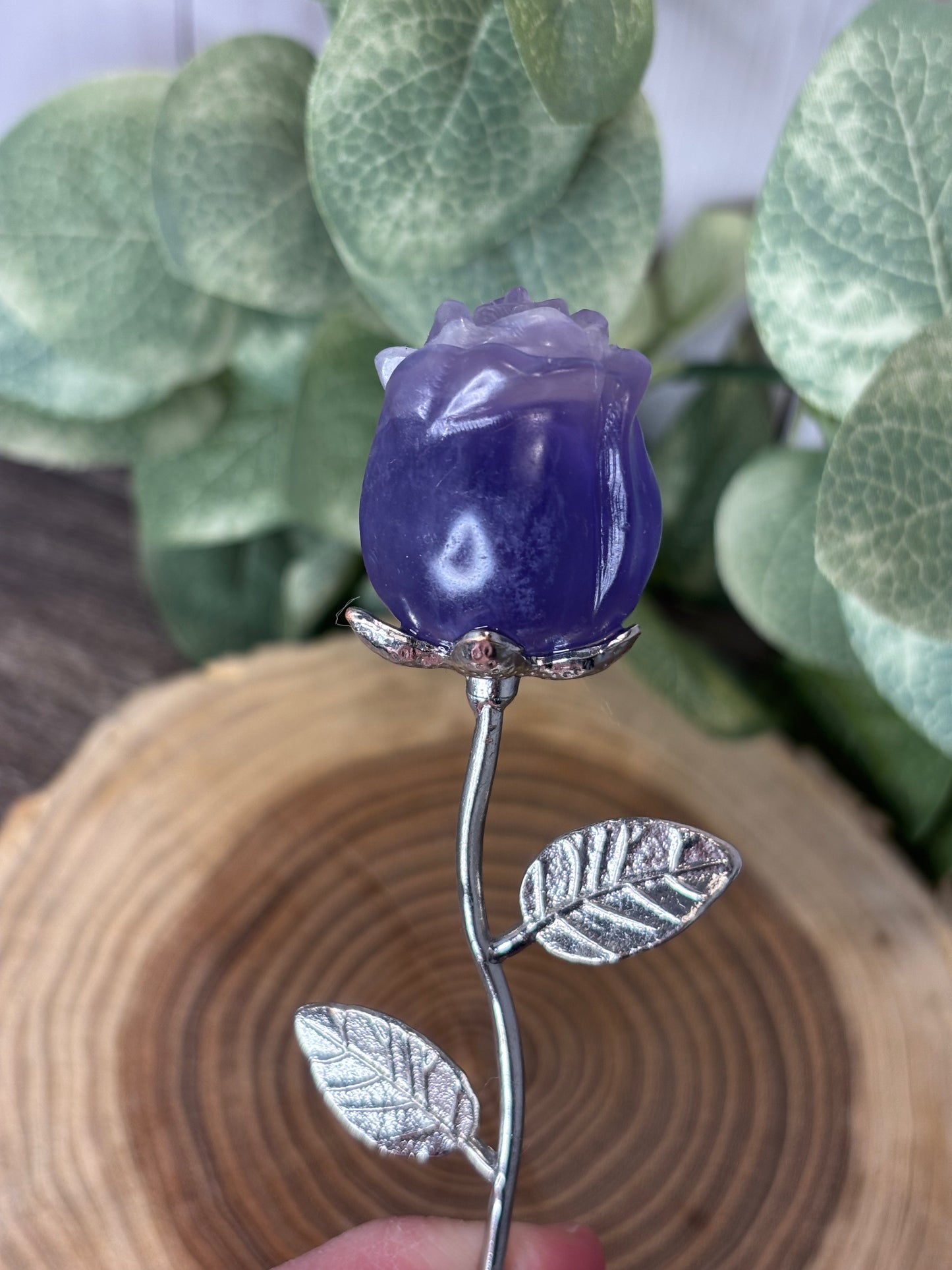 Rose on Stem