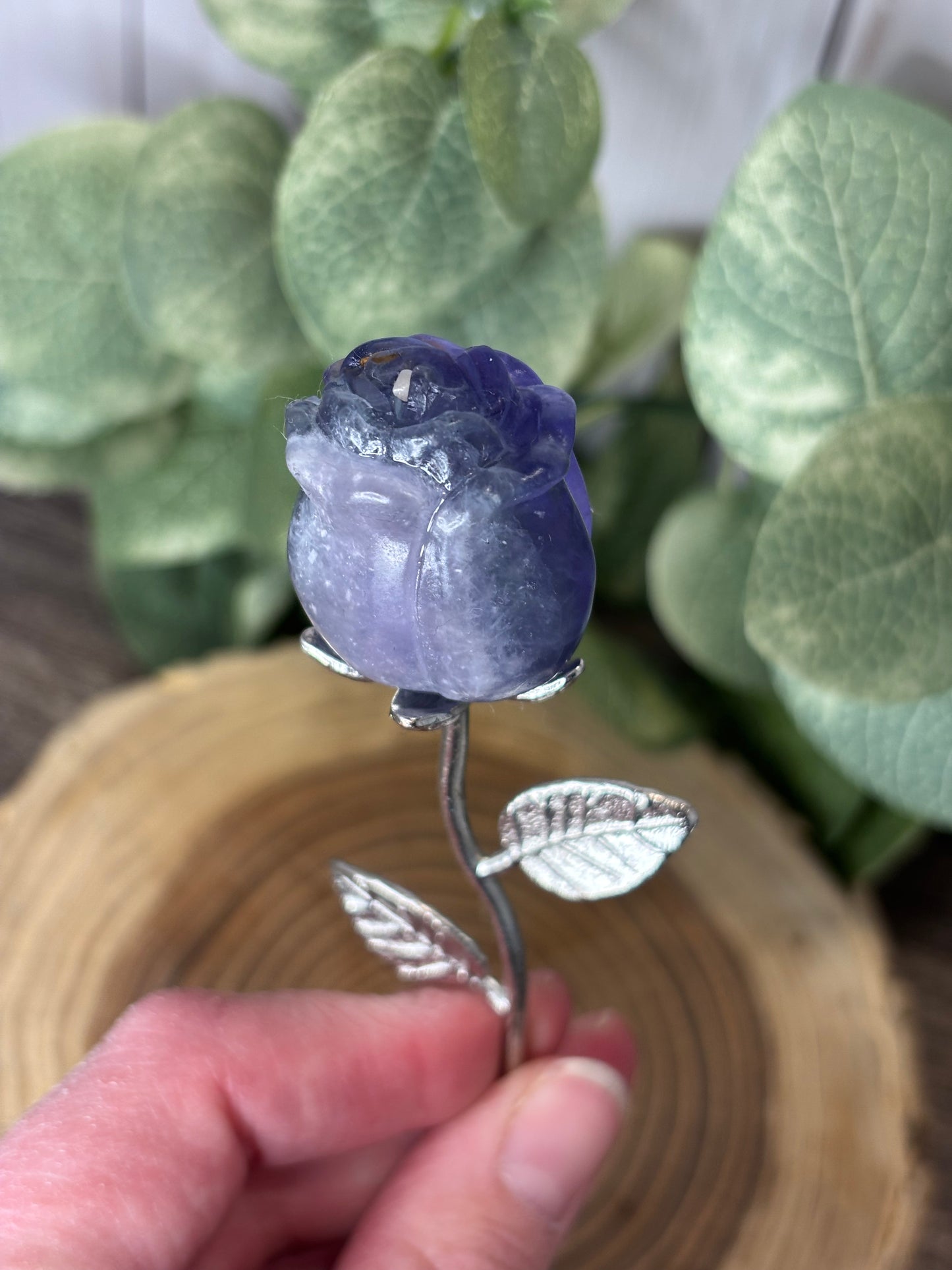 Rose on Stem