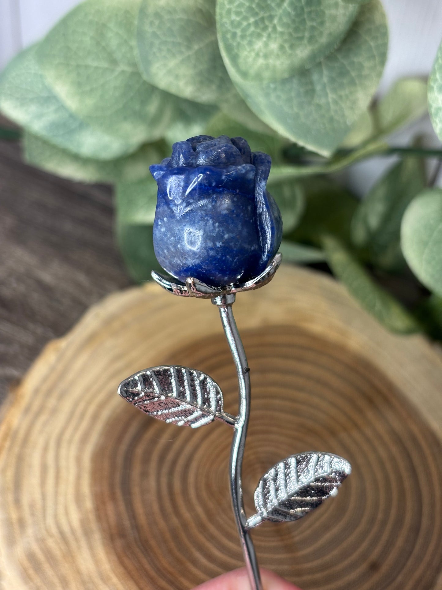 Rose on Stem
