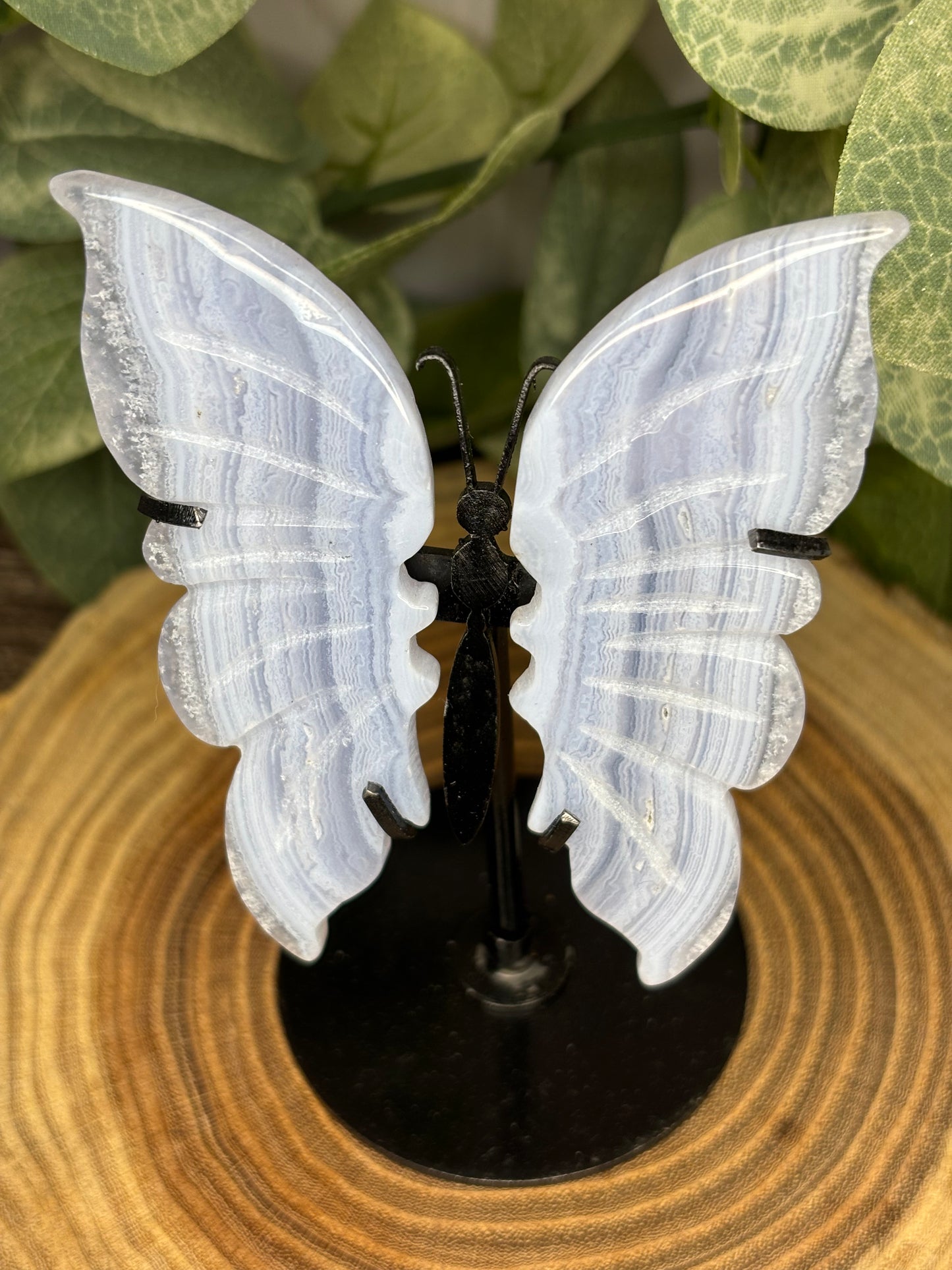 Blue Lace Butterfly on Stand