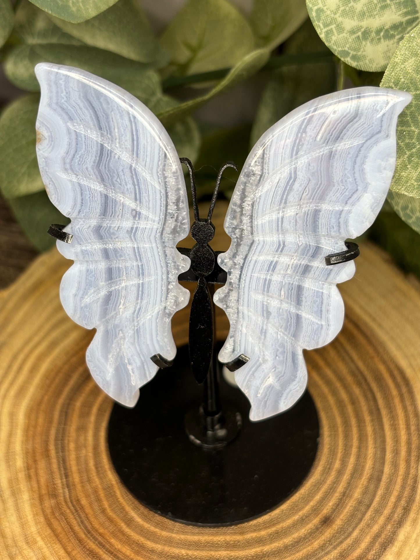 Blue Lace Butterfly on Stand