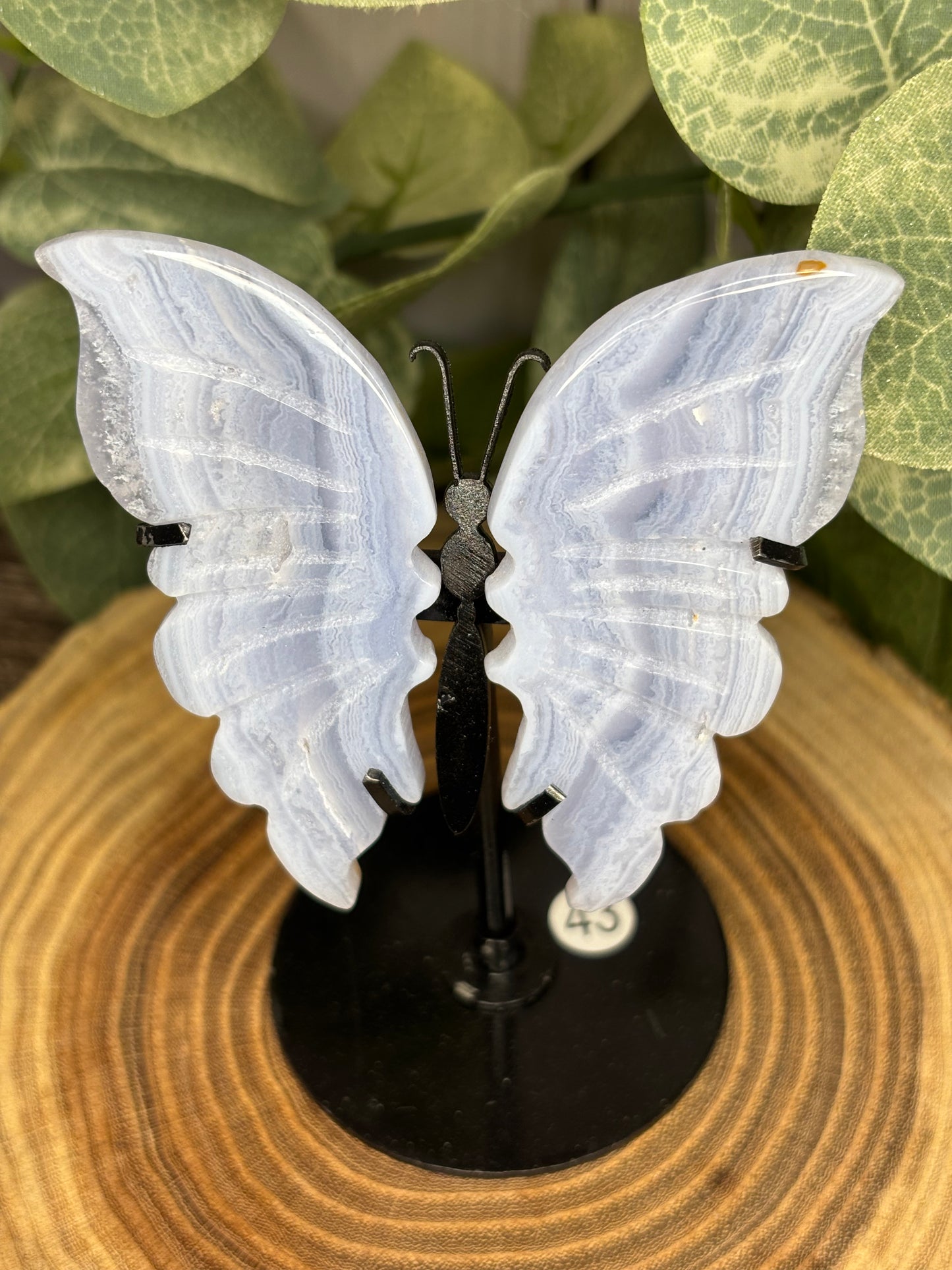 Blue Lace Butterfly on Stand