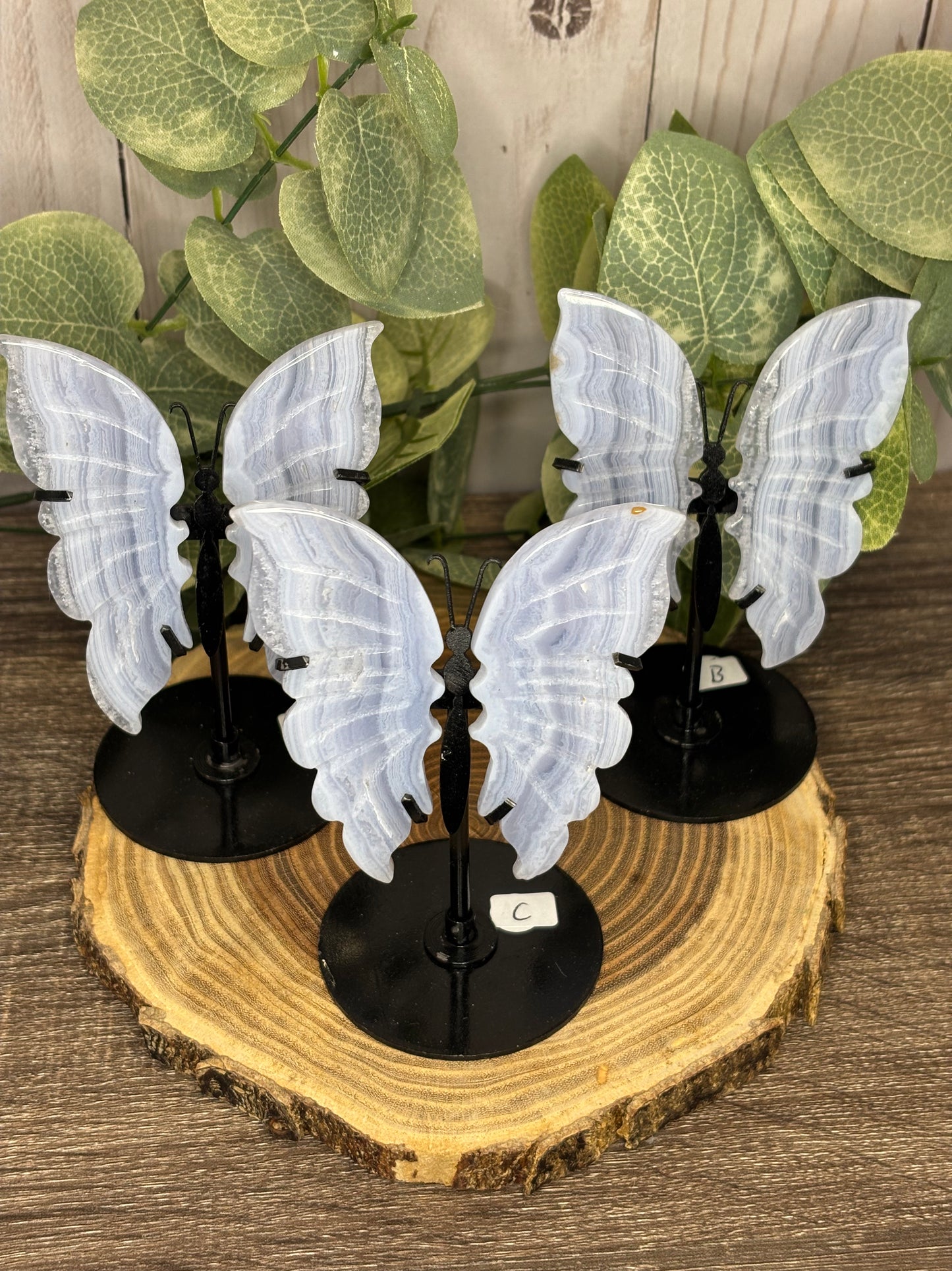 Blue Lace Butterfly on Stand
