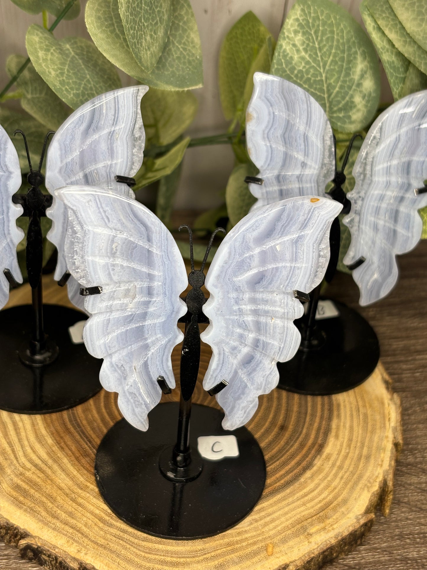Blue Lace Butterfly on Stand