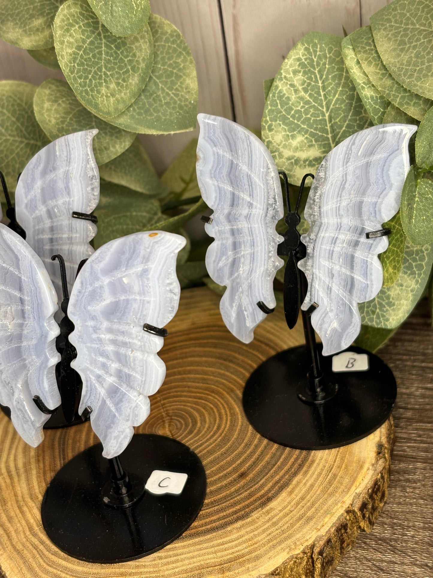 Blue Lace Butterfly on Stand