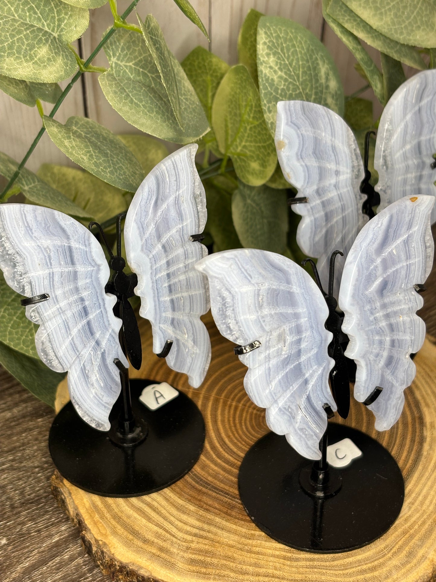 Blue Lace Butterfly on Stand