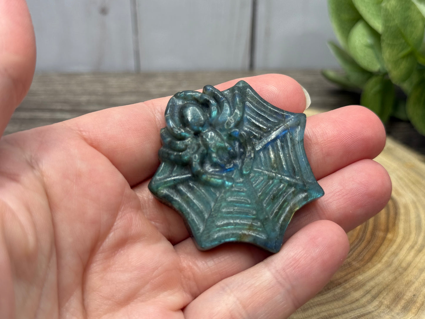 Spider and Web - Labradorite