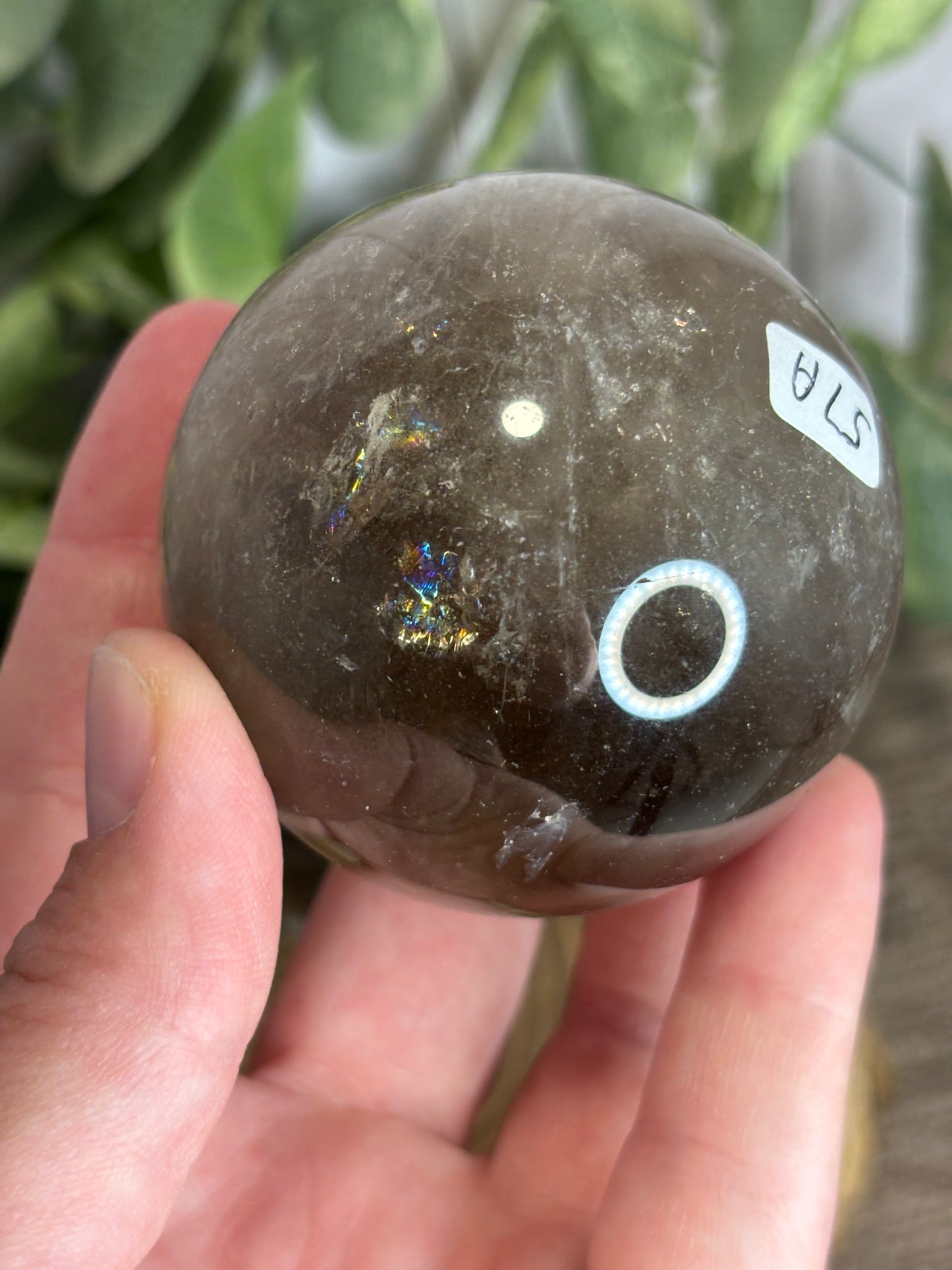 Smokey Quartz Spheres