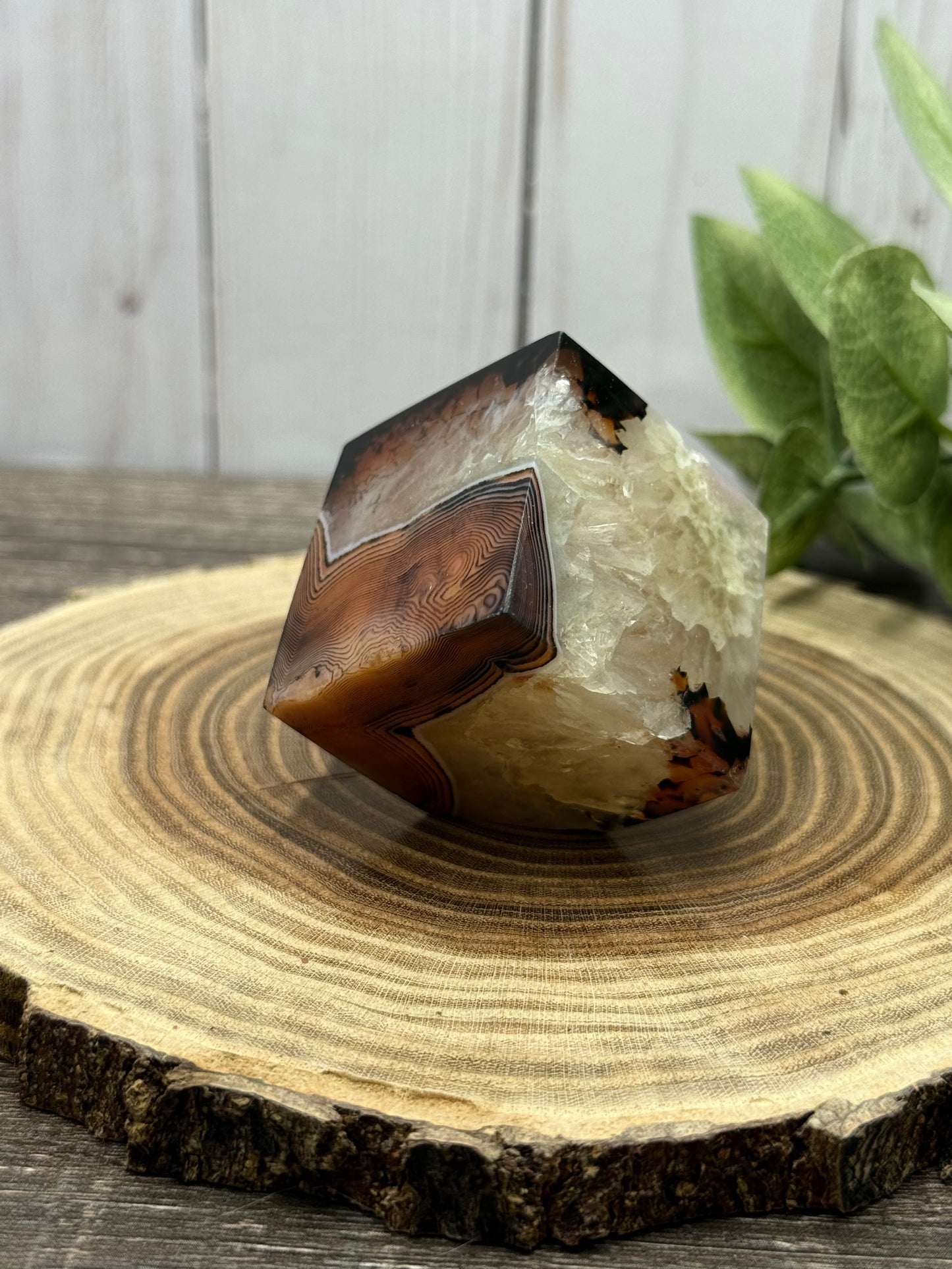 Saradonyx Square / Cubes