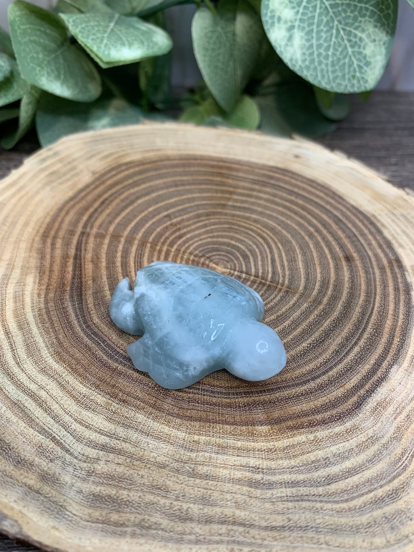 Turtle Carvings - Aquamarine