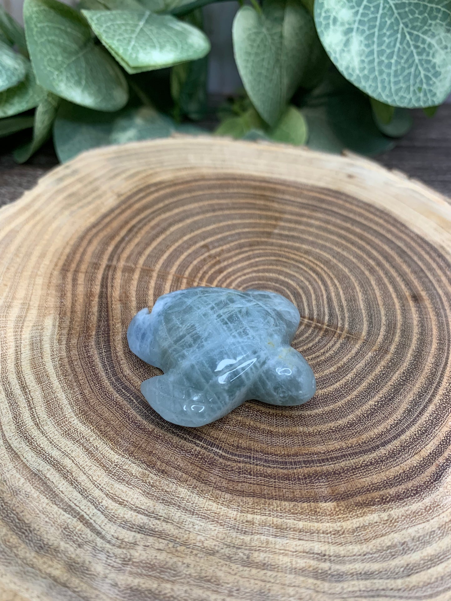 Turtle Carvings - Aquamarine