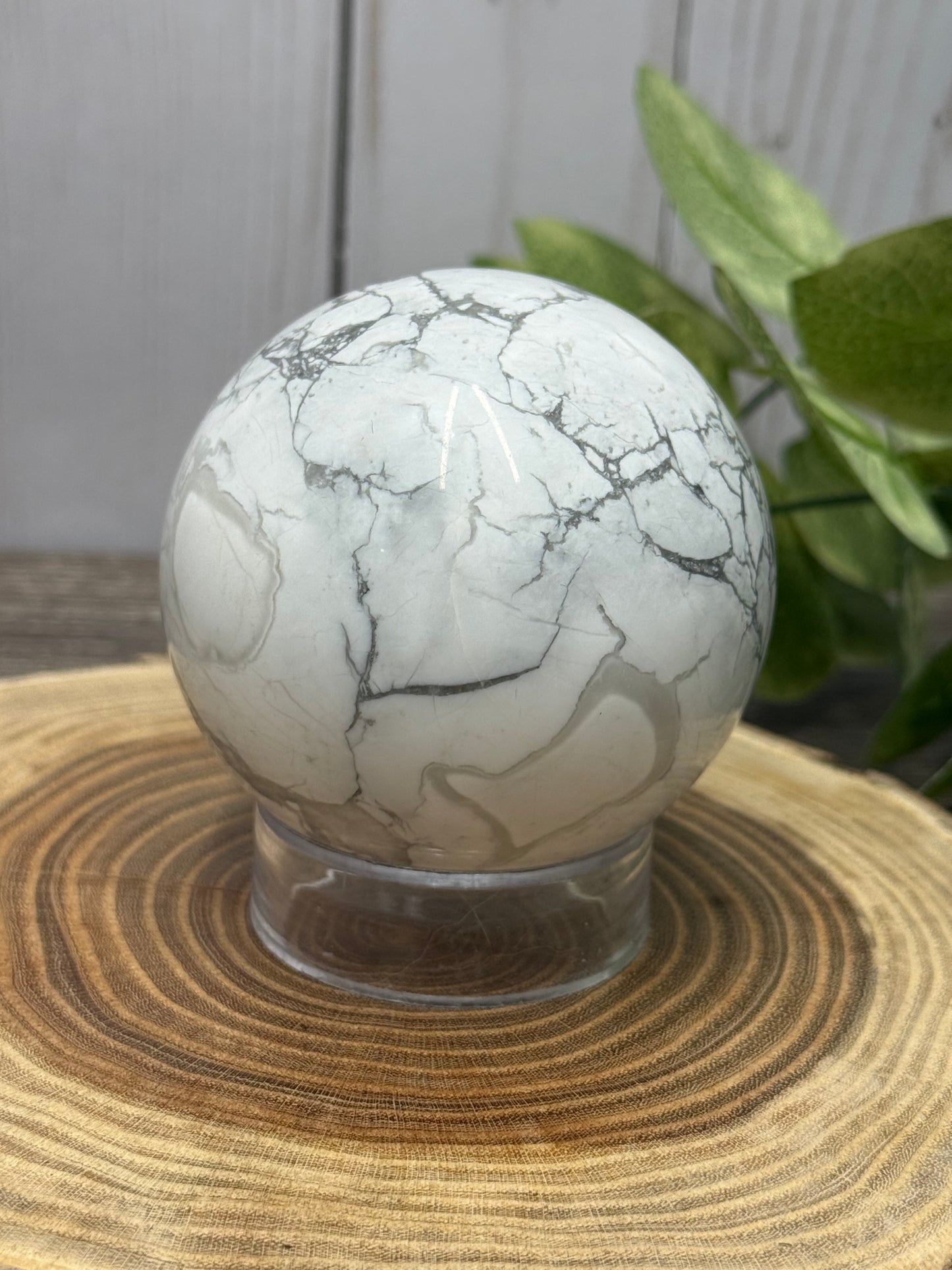 Howlite Spheres