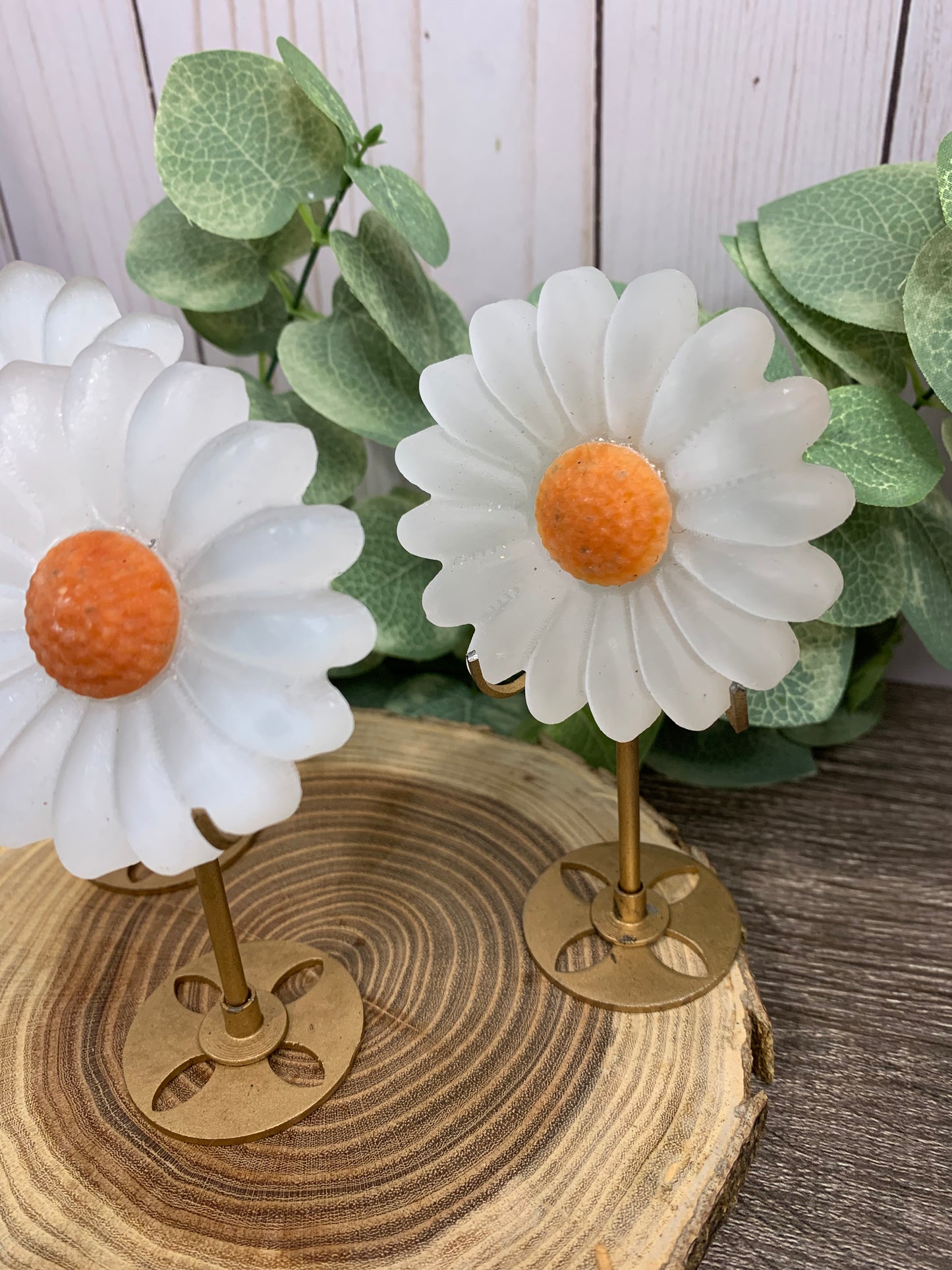Daisy on Stand - Selenite and orange calcite middles