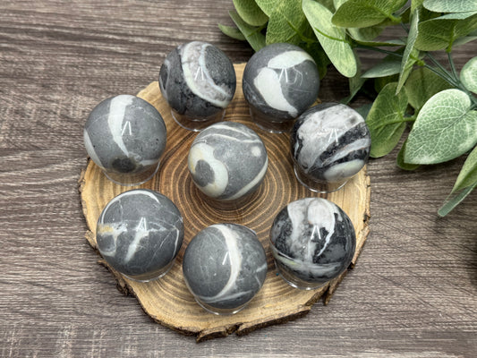 Fossil Shell Spheres