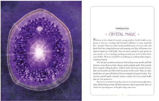The Young Witch's Guide to Crystals