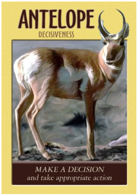 Power Animal Oracle Cards: A 44 Card Deck with Guidebook