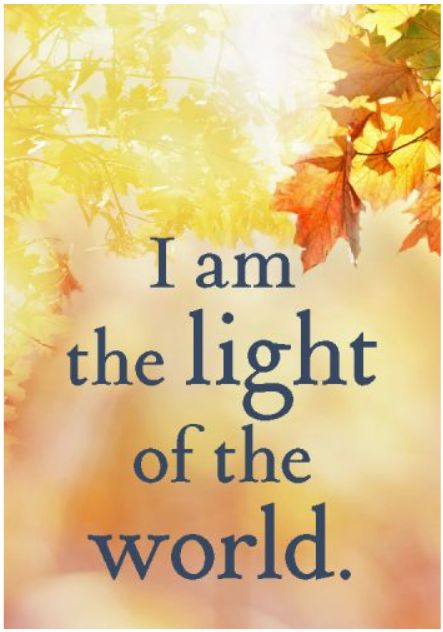 Everyday Miracles: A 50 Card Deck of Lessons from A Course in Miracles