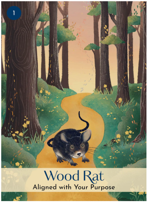 The Chinese Five Elements Oracle: A 60 Card Deck and Guidebook