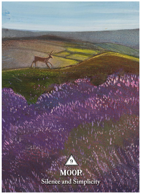 The Rooted Woman Oracle: A 53 Card Deck and Guidebook