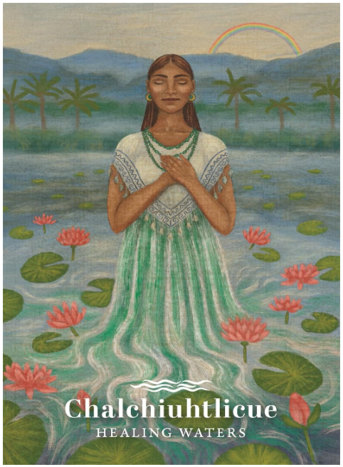 The Earth & Sky Oracle: A 48 Card Deck and Guidebook