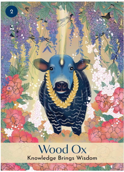 The Chinese Five Elements Oracle: A 60 Card Deck and Guidebook