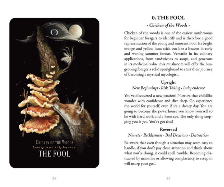 Midnight Magic: A Tarot Deck of Mushrooms