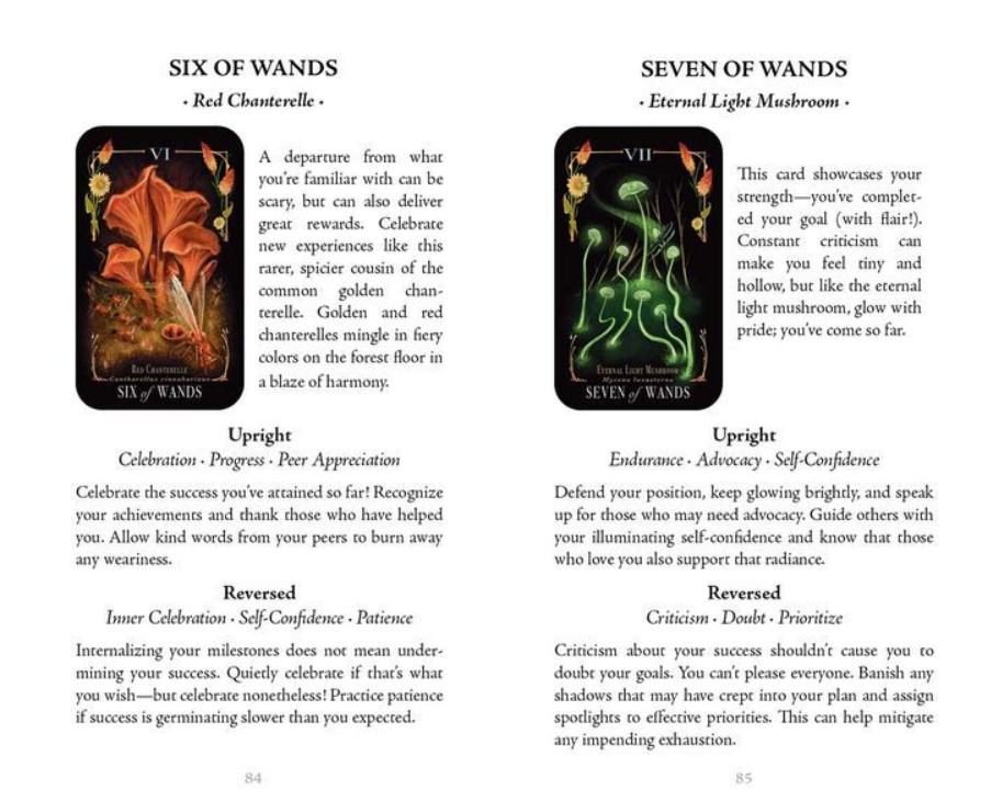 Midnight Magic: A Tarot Deck of Mushrooms