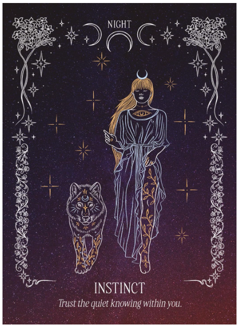 The Light In The Dark Oracle: A 44 Card Deck & Guidebook