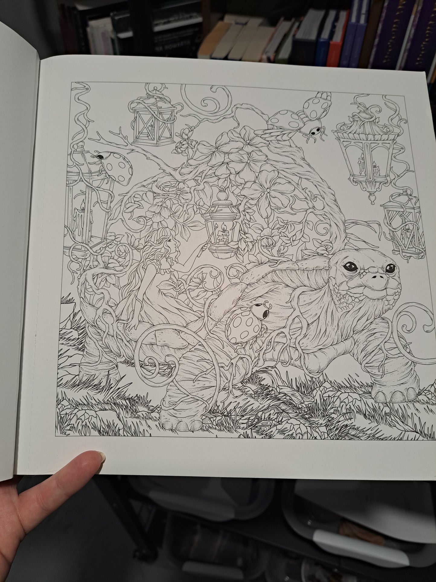 Mythographic Color and Discover Magical Earth: An Artist's Coloring Book of Natural Wonders