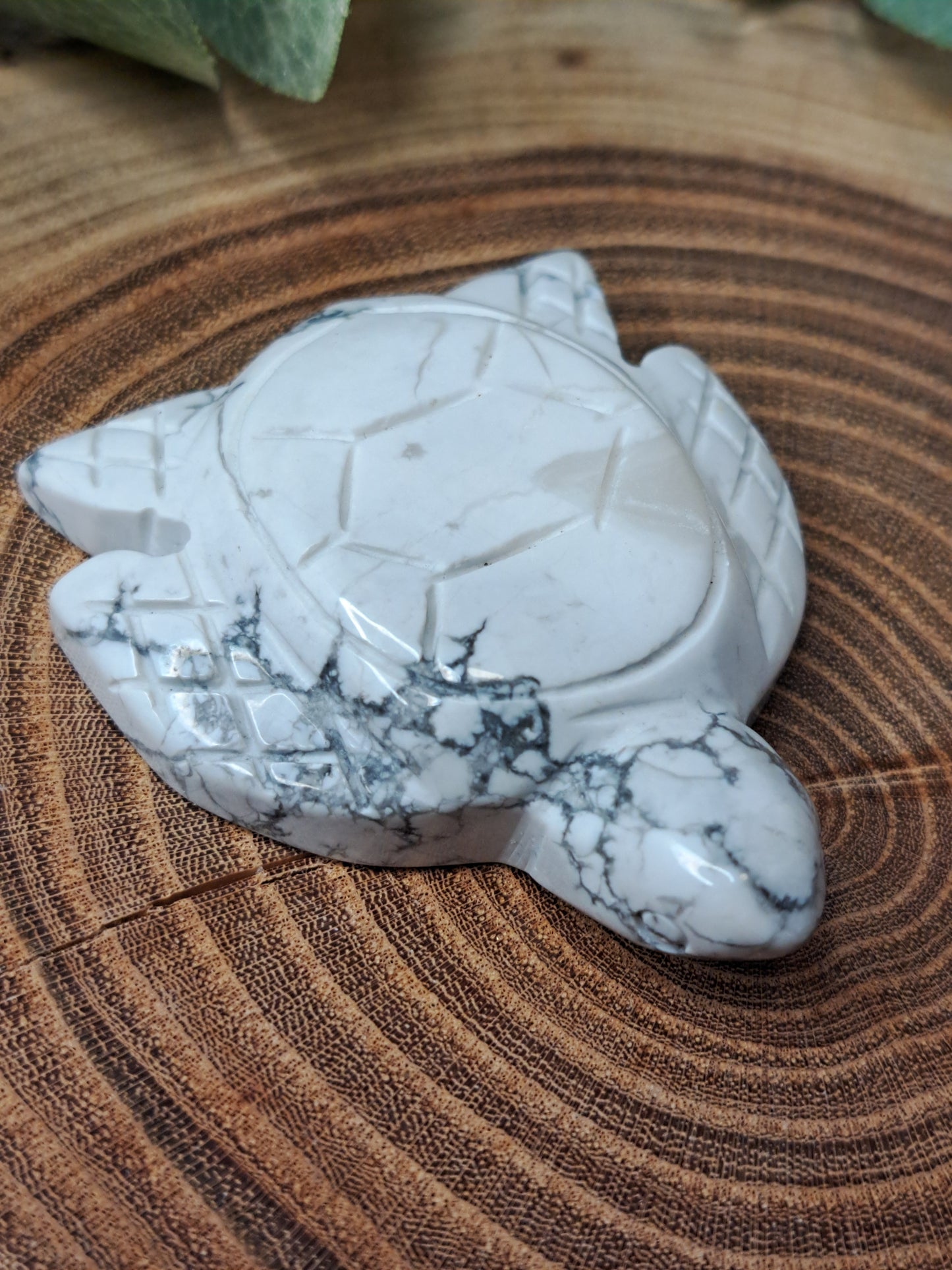 Howlite Turtle Carvings