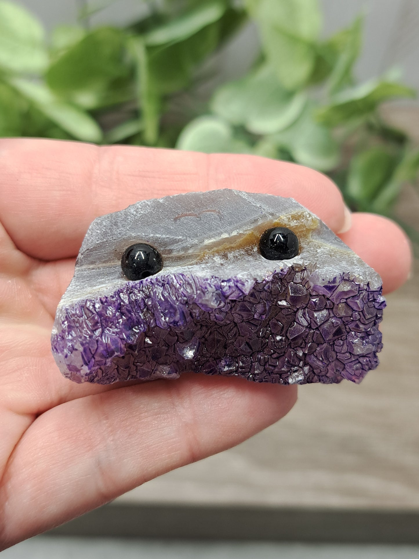 Amethyst Rock Pets