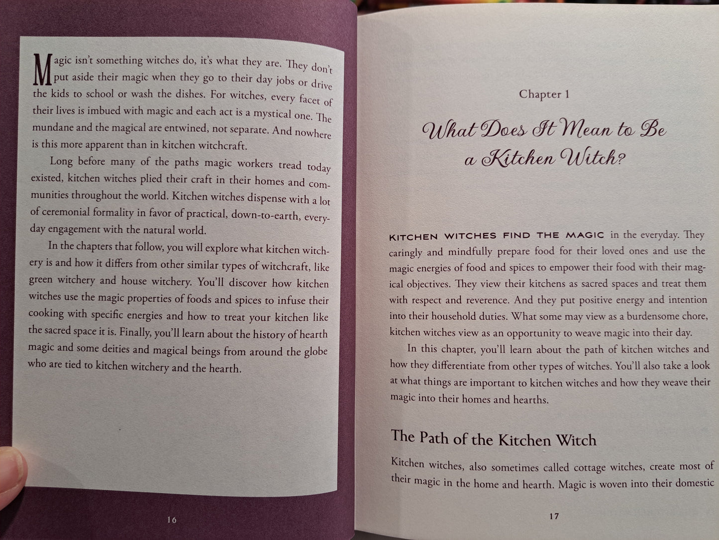 The Kitchen Witch: Your Complete Guide to Creating a Magical Kitchen with Natural Ingredients, Sacred Rituals, and Spellwork