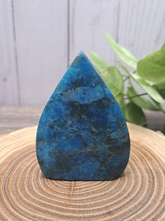 Blue Apatite Freeforms
