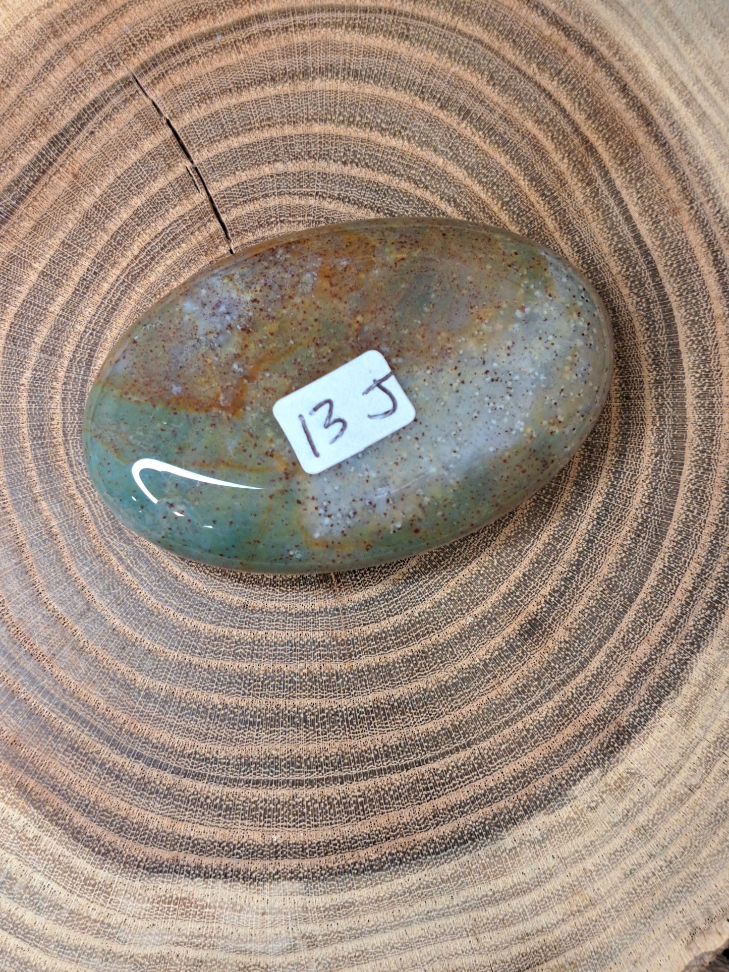 Moss Agate Palm Stones