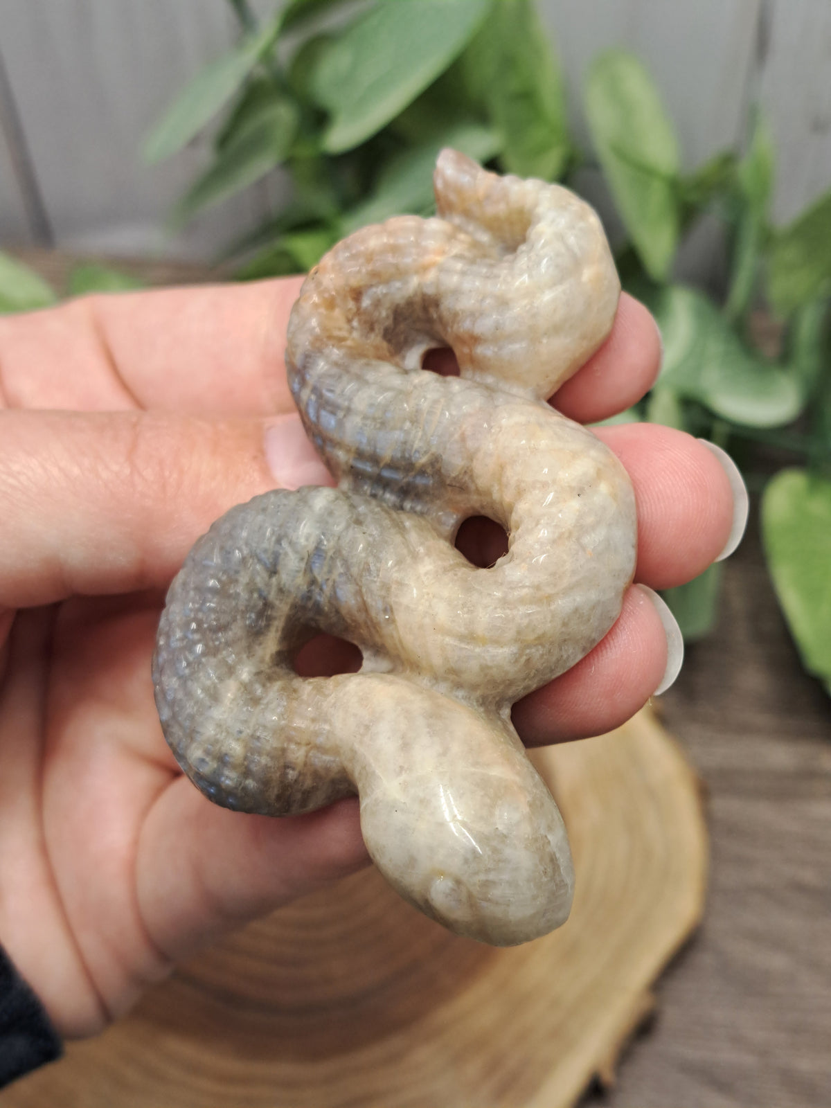 Snake Carvings - Moonstone
