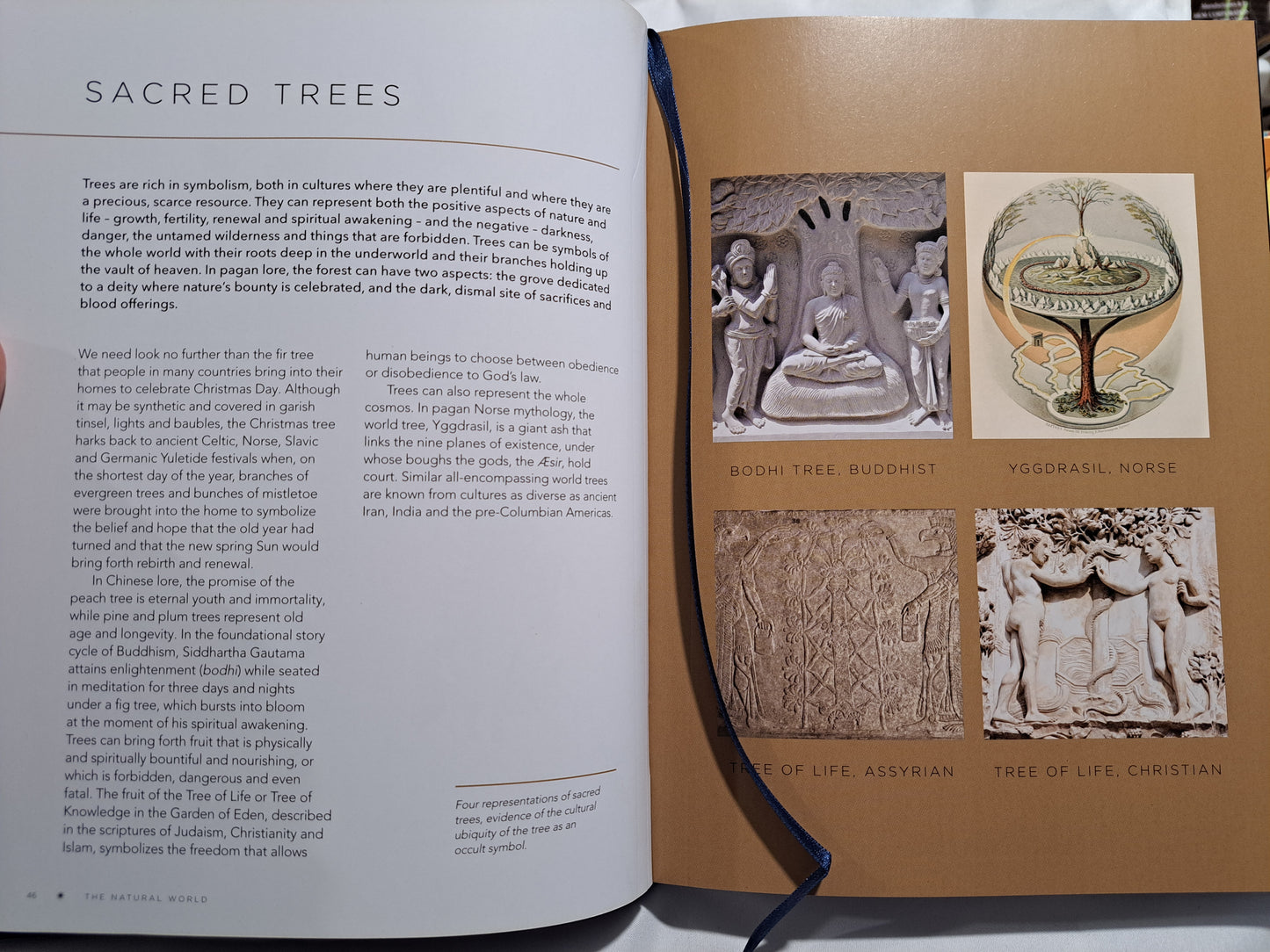 Symbols of the Occult: A Directory of over 500 Signs, Symbols, and Icons