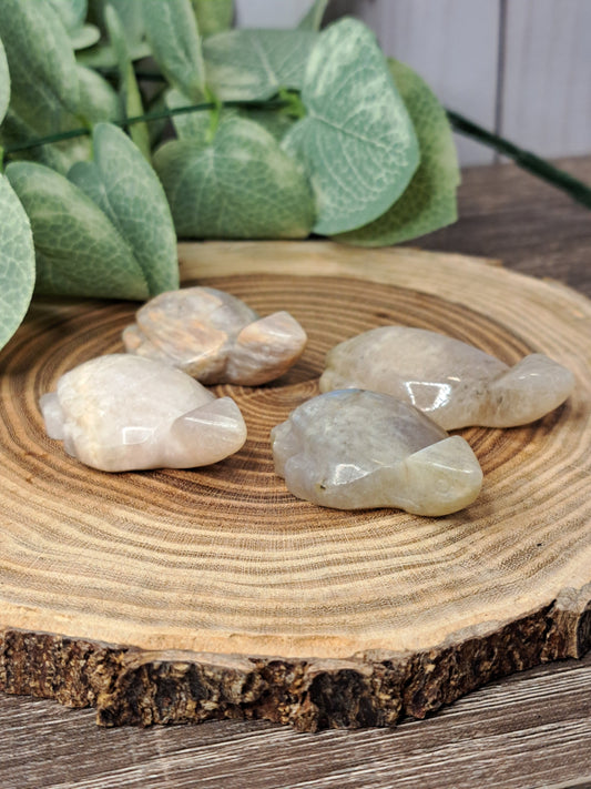 Moonstone Turtle Carvings
