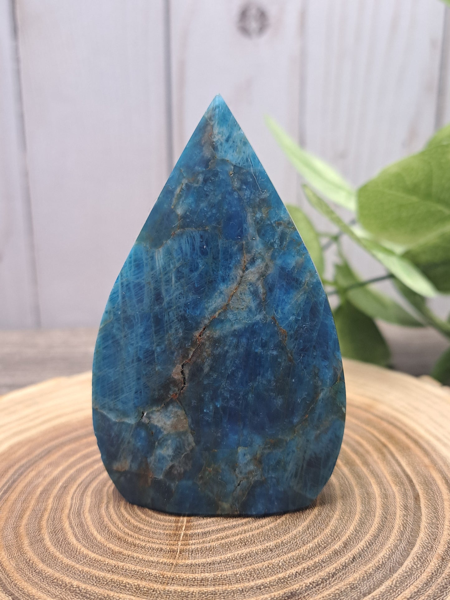 Blue Apatite Freeforms