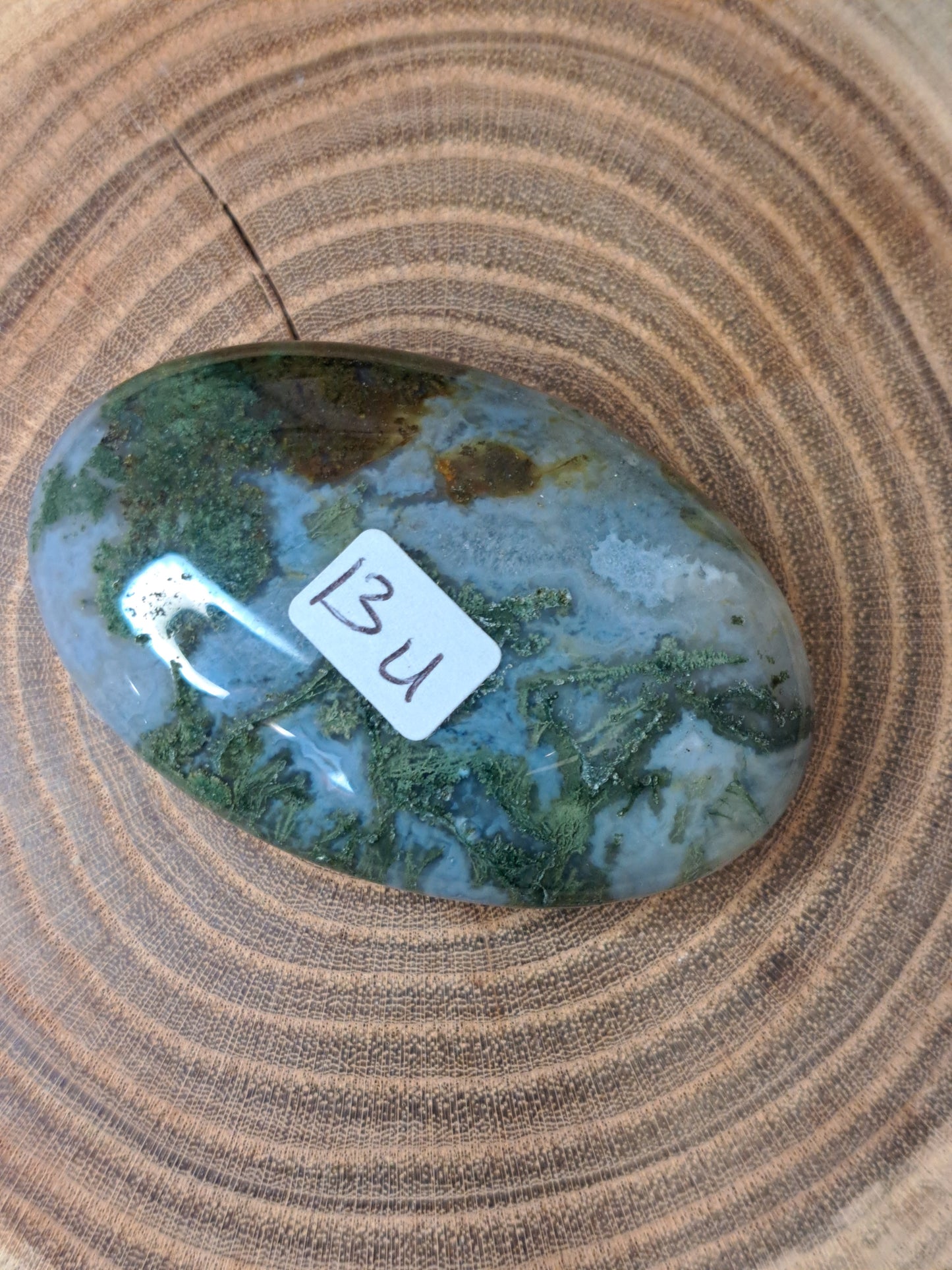 Moss Agate Palm Stones