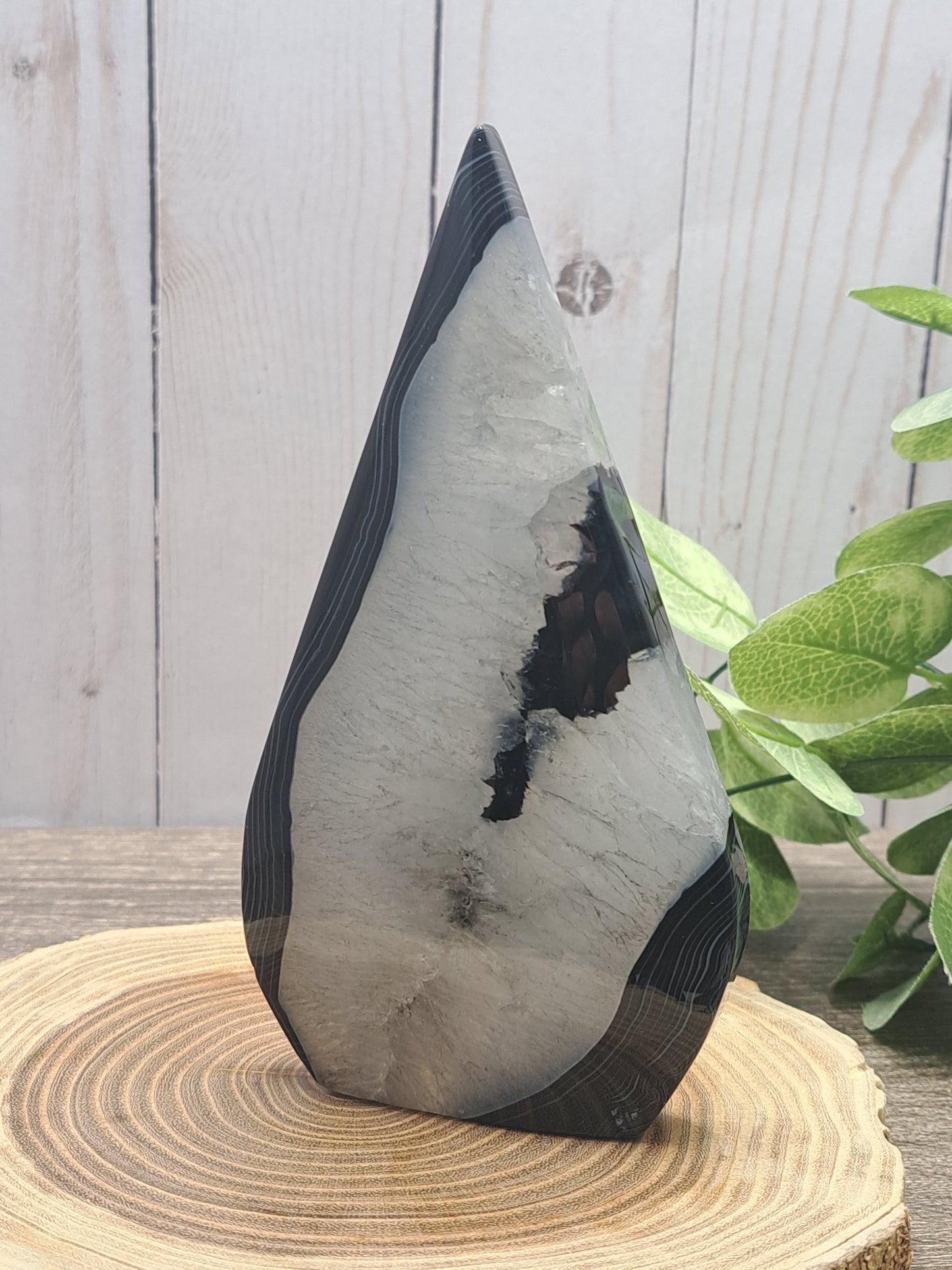 Black Agate Freeforms