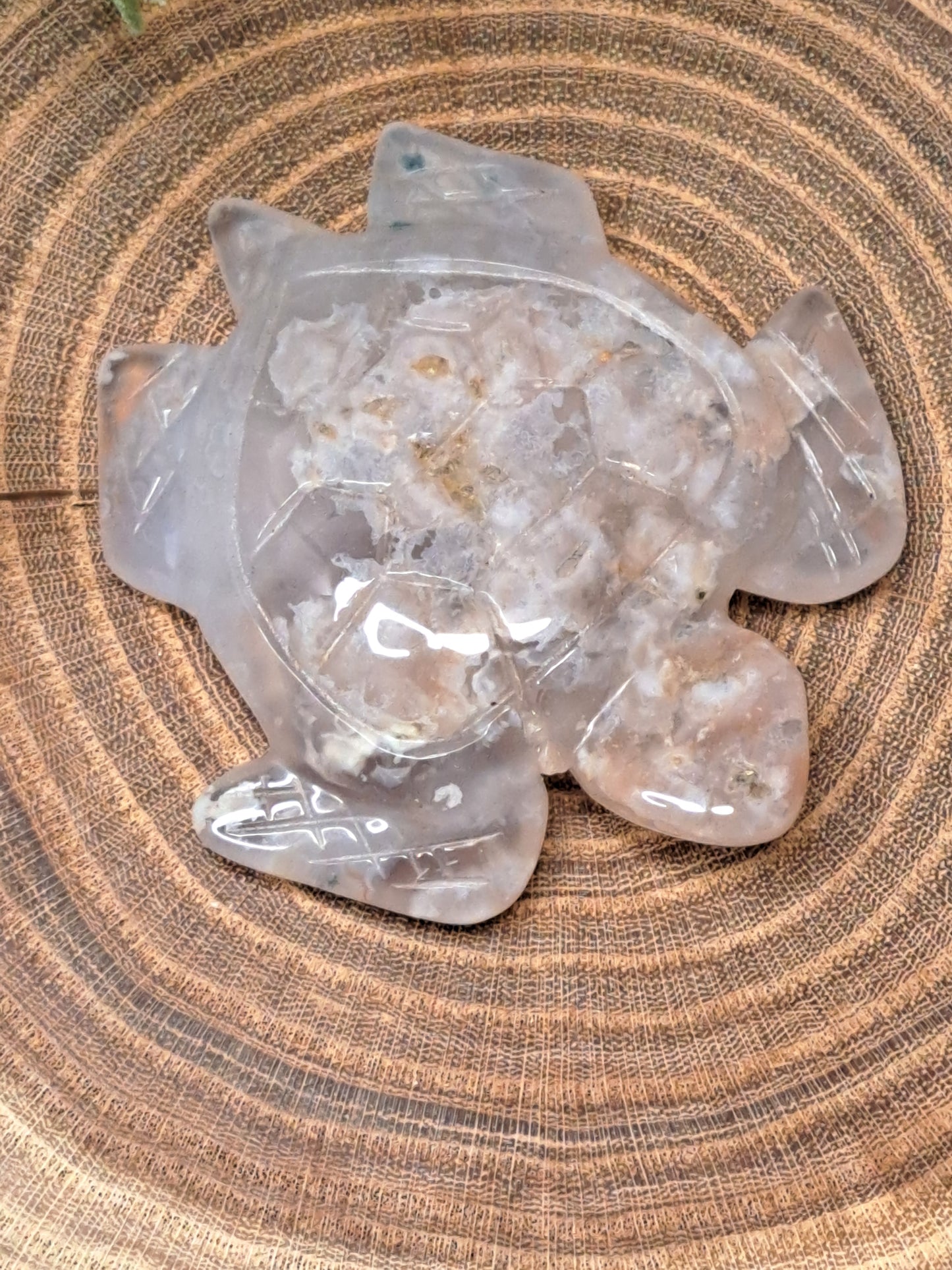 Flower Agate Turtles