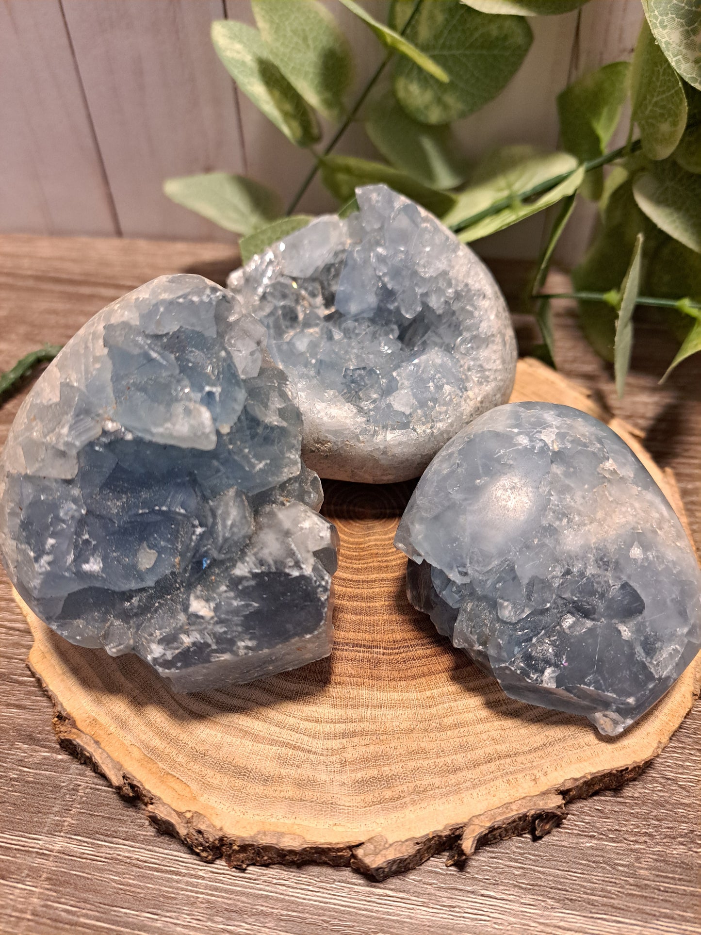Celestite