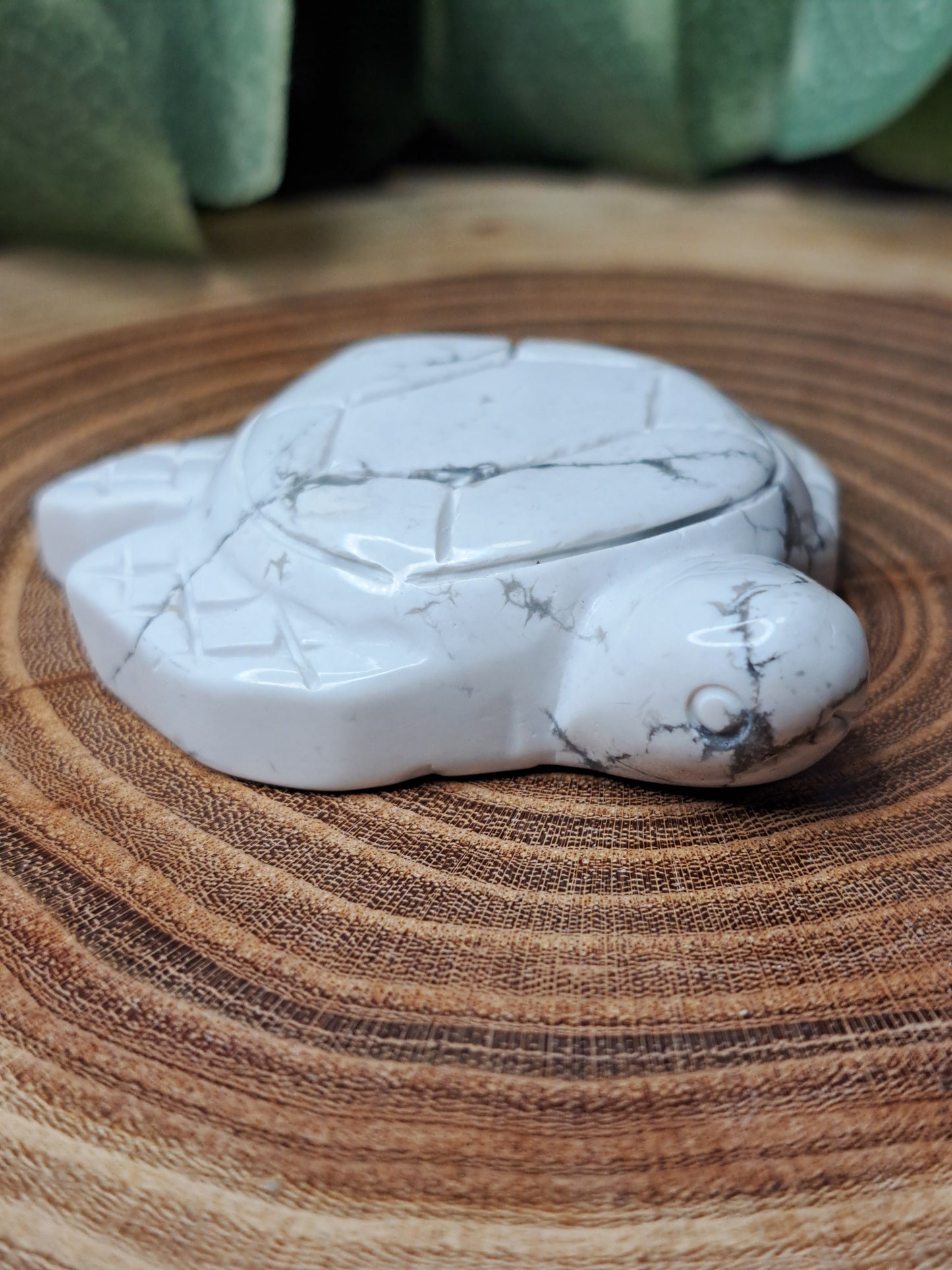 Howlite Turtle Carvings