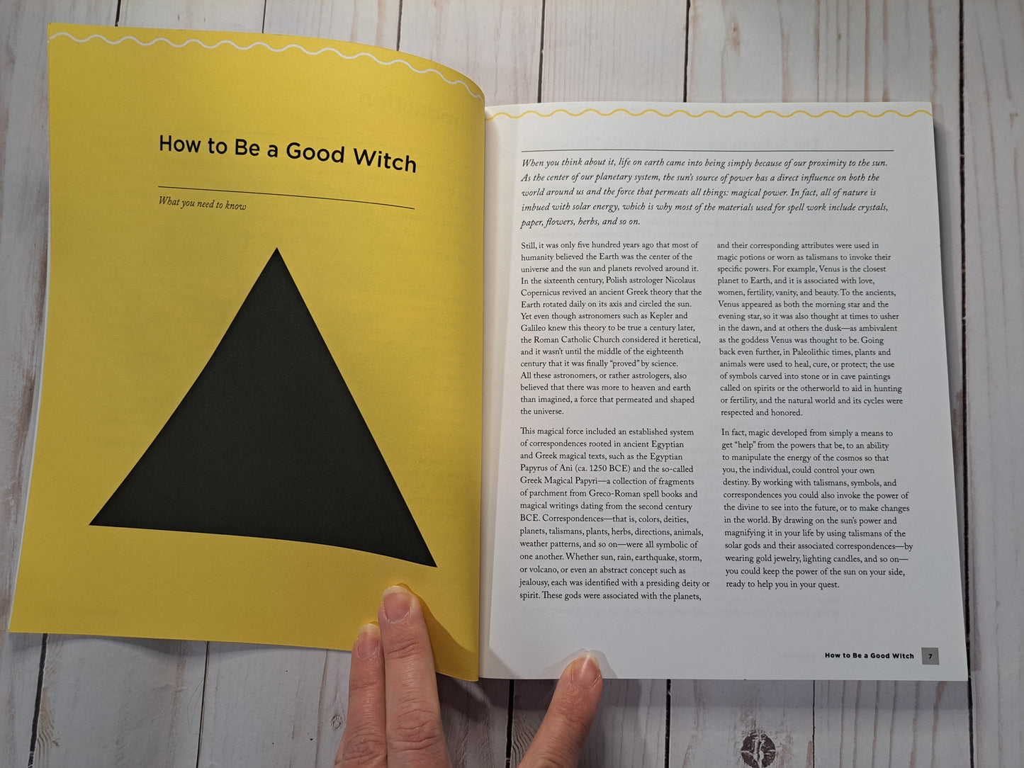 The Witch's Spellbook for Beginners