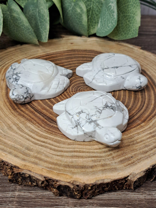 Howlite Turtle Carvings