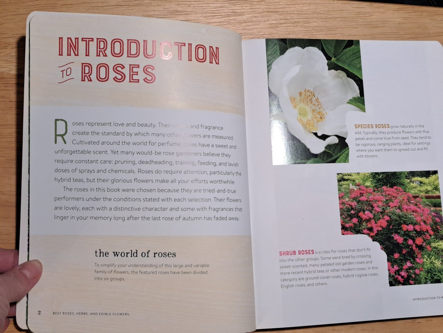 Home Grown Gardening - Best Roses, Herbs, and Edible Flowers