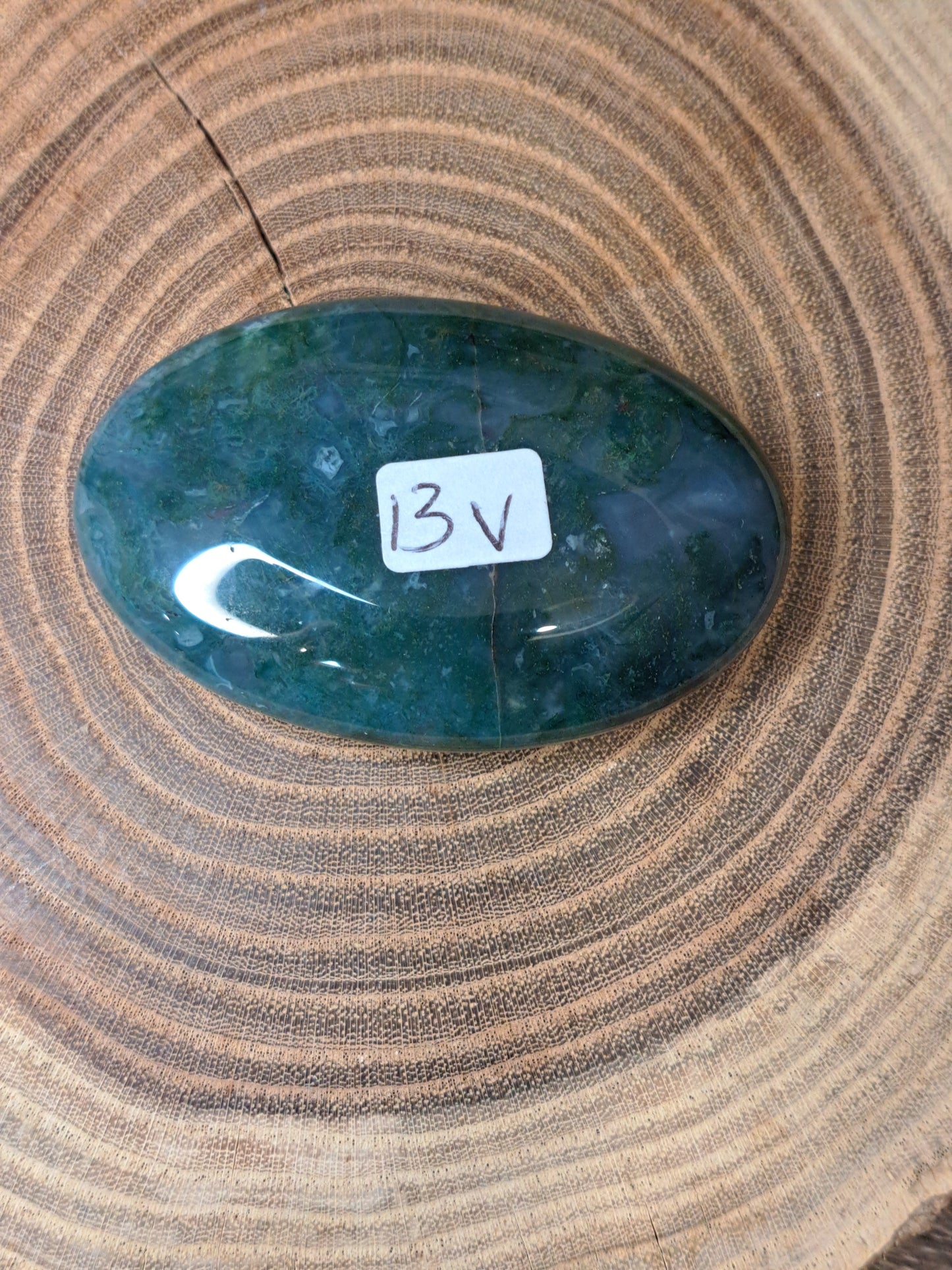 Moss Agate Palm Stones