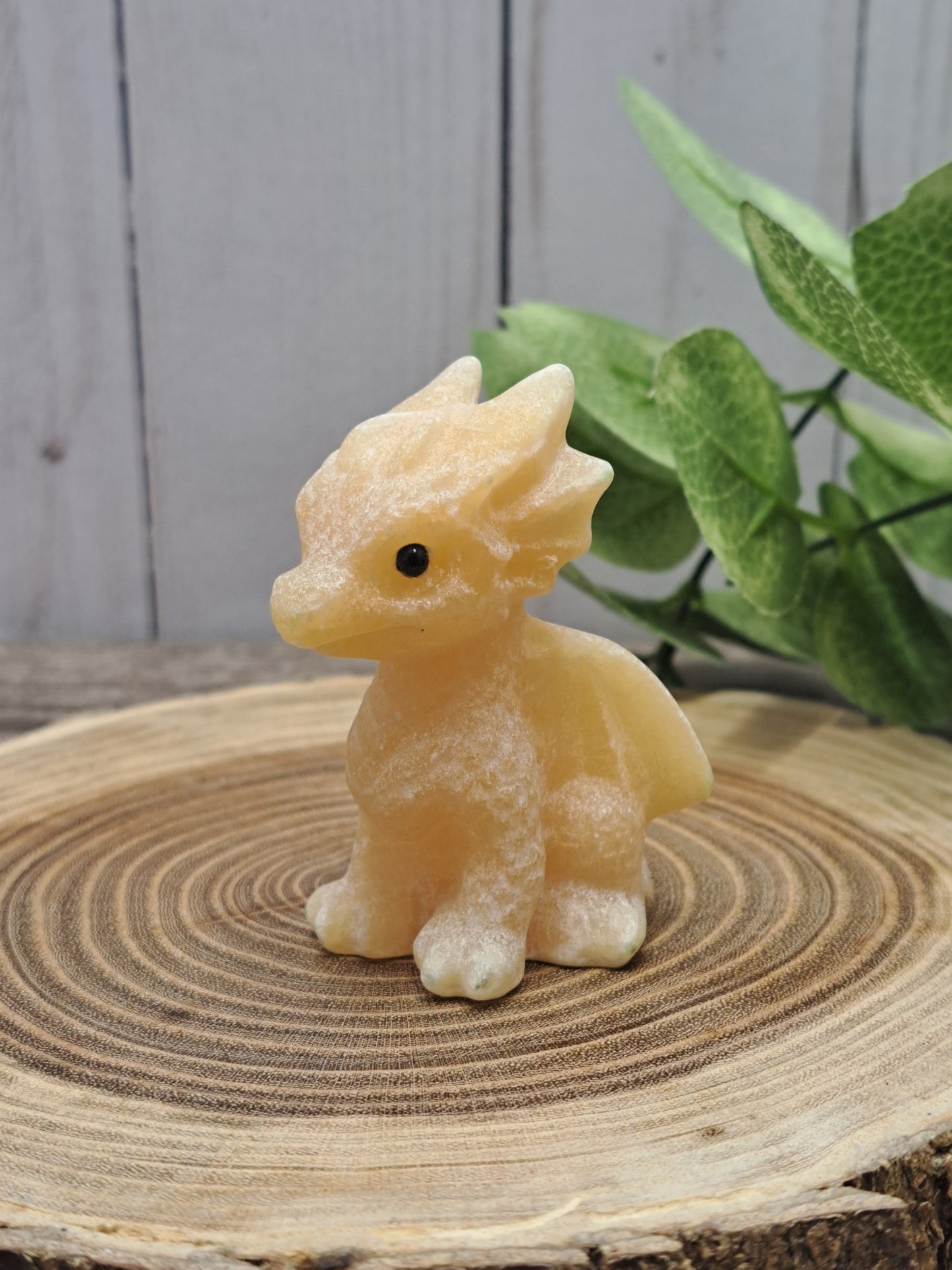 Baby Dragon - Small